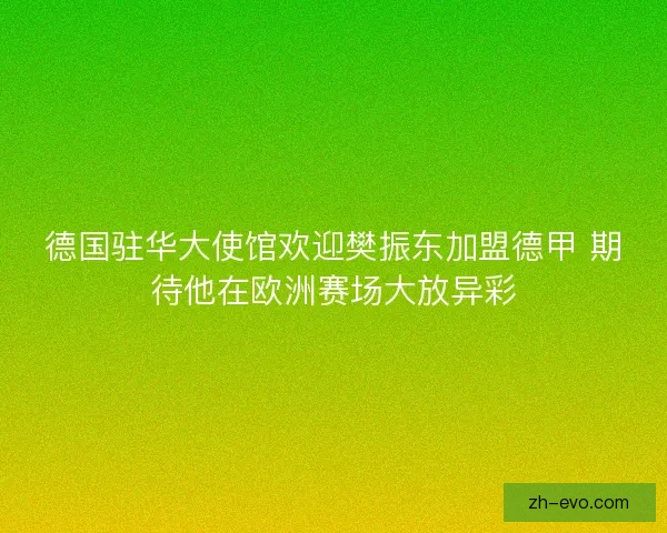 德国驻华大使馆欢迎樊振东加盟德甲 期待他在欧洲赛场大放异彩 德国驻华大使馆欢迎樊振东加盟德甲 期待他在欧洲赛场大放异彩